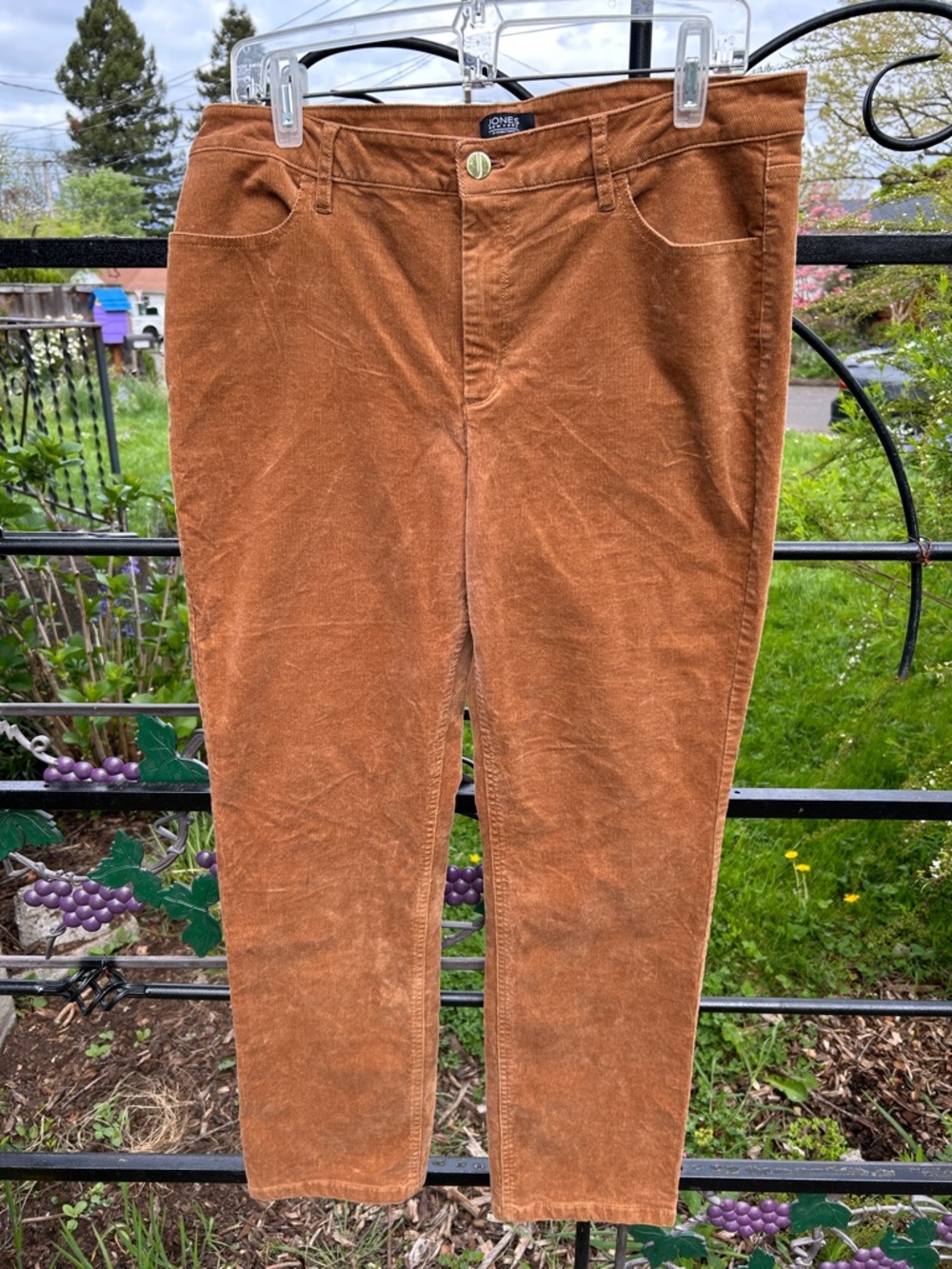 Jones New York Signature brown narrow wale cords size 12